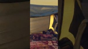 Шатёр Maverick fortuna 300 premium