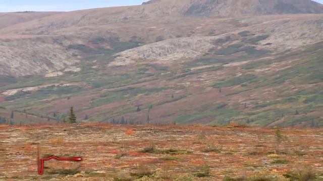 The Zone S2:E5 Alaska Grizzly смотреть онлайн