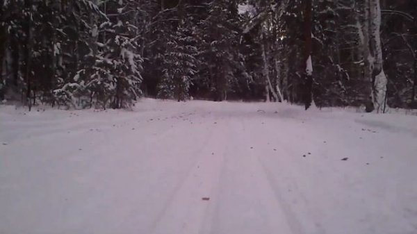 Fischer RCS Skate Hole 2016/2017