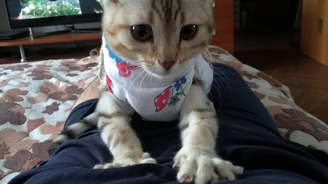 22 января 2020 г. смотреть онлайн