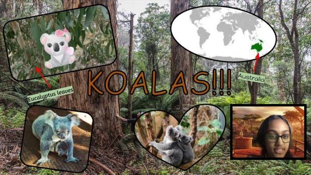 Data Thursday: Animals in Australia, Nov. 2nd, 2023 смотреть онлайн
