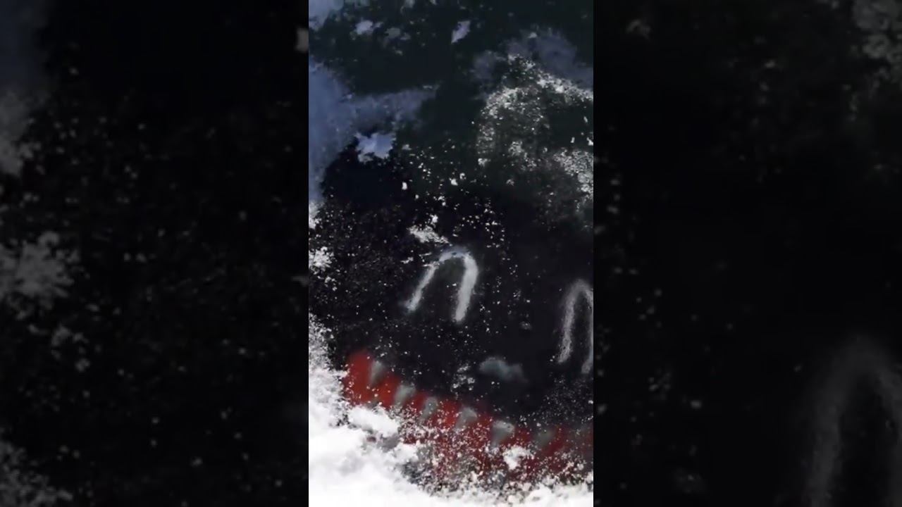 Нашли во льдах какого-то монстра с помощью металлоискателя! смотреть онлайн