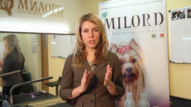Курсы груминга. Обучение грумингу. Обучение стрижке собак смотреть онлайн