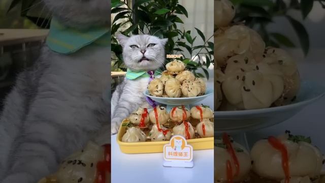 Chef Cat's Super Long Food Collection Makes You Satisfying！ | Cat Cooking Food | Cute And Funny Cat смотреть онлайн