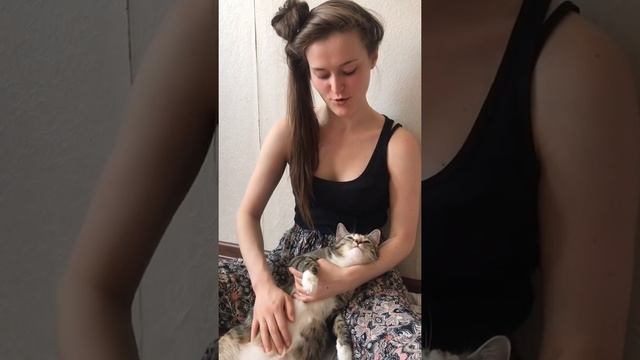 За день до родов кошки смотреть онлайн