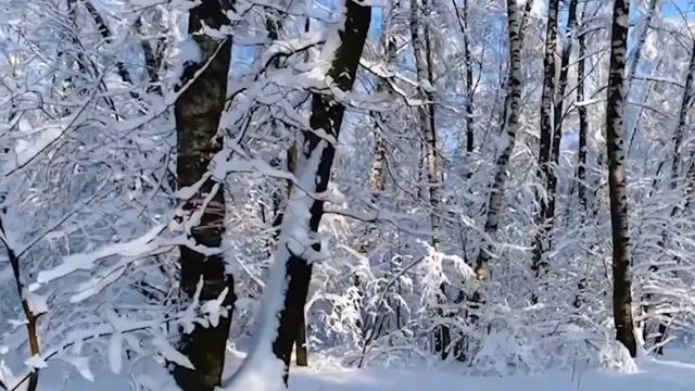 Сказочно волшебная! Такая красивая ЗИМНЯЯ МУЗЫКА Сергей Грищук! Послушайте для души!