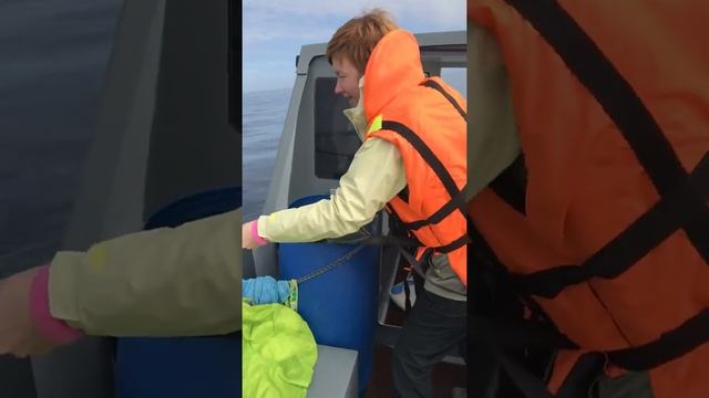 Я поймала рыбу! Кит! смотреть онлайн