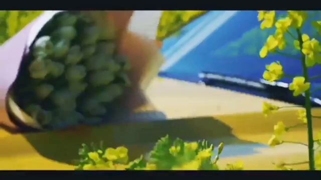 ✅Ford Мустанг? НУ ДАВАЙ НУ ДАВАЙ Клип смотреть онлайн