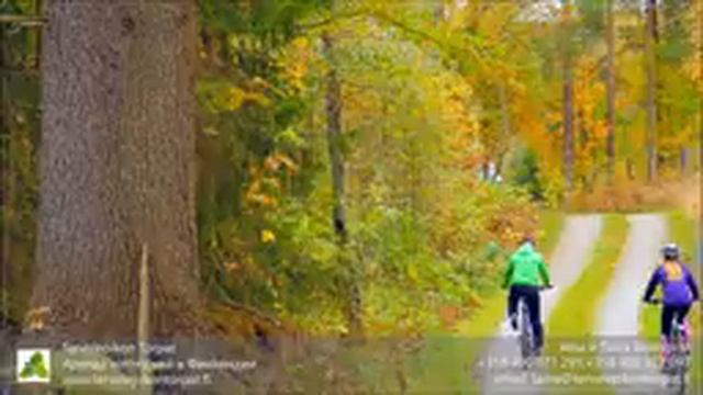 Villa Ebba. Отдых в Финляндии на ферме. Коттедж в аренду. Регион Лахти.