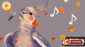 папугаи корела? учим петь cockatiel parrot sing #корелла????❤️