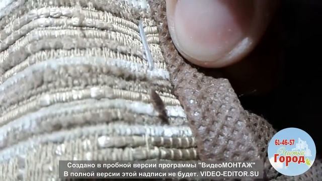 Почему клопы боятся света