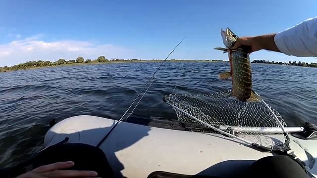 Ищу не щуку а малька! Малек и сразу ПОКЛЁВКА! Рыбалка на озере. Рыбалка на щуку. Спиннинг с лодки. смотреть онлайн