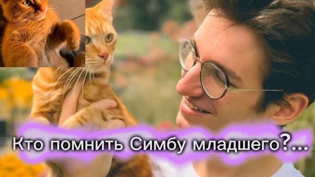 очень сожелею хозяина симбы старшего.... смотреть онлайн
