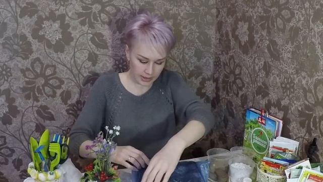 КОХИЯ.КОЛЕУС.АЛИССУМ. БАЛЬЗАМИН УОЛЛЕРА. ПЕРЕЦ СЛАДКИЙ. ПОСЕВ СЕМЯН НА РАССАДУ. смотреть онлайн
