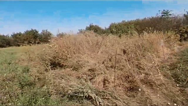 Земельный участок ст.Выселки Краснодарский край. Цена: 2800000. тел: 8-969-302-84-84 смотреть онлайн