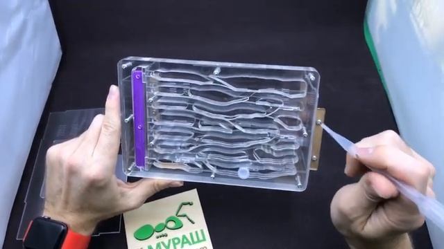 Обзор фермы Усадьба (Homestead)