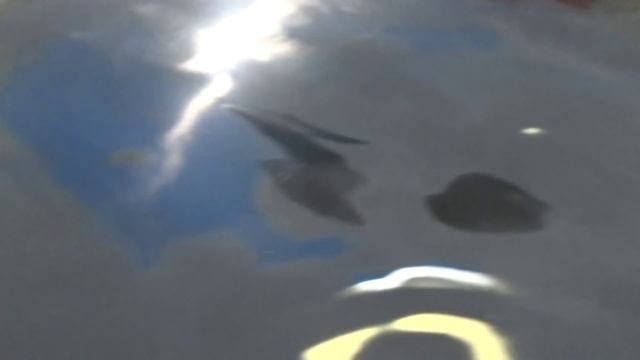 Замывка и затирка грунта двумя способами смотреть онлайн