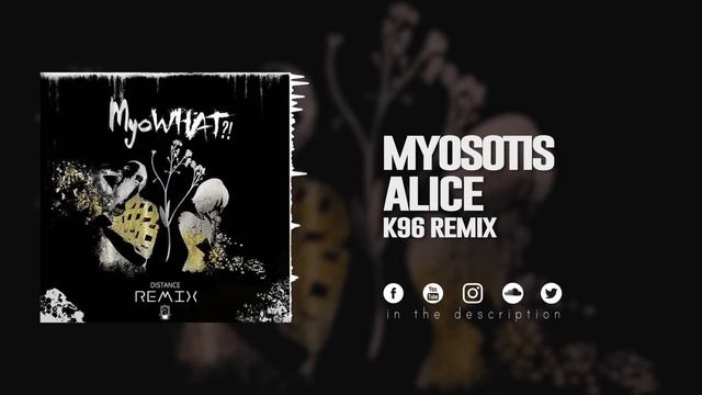 Myosotis - Alice (K96 Remix) смотреть онлайн