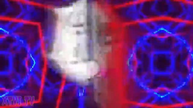 Bongo cat meme смотреть онлайн