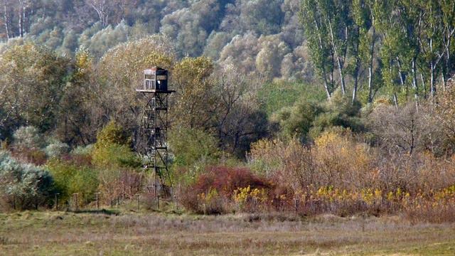 Moldova zapovednik Padurea Domneasca (Господарский лес) смотреть онлайн