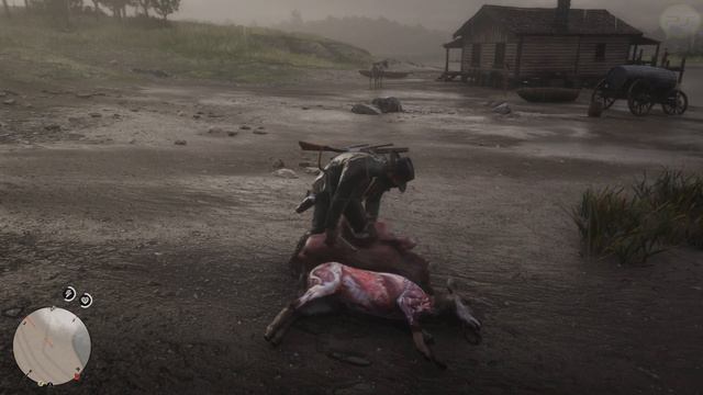 Прохождение Red Dead Redemption 2 (PS4) — Часть 14: Большой куш [4k 60fps] смотреть онлайн