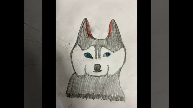 мои первые рисунки карандашом) смотреть онлайн