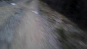 SYM Orbit 50 (in the wood)