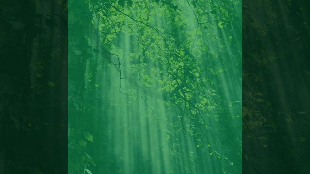 Unique Ambience for Morning Energy смотреть онлайн