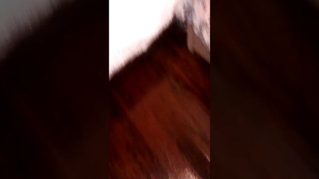 пол под старину ремонт своими руками почти даром смотреть онлайн