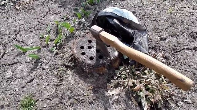 Состояние пня после обработки хим способом через 18 месяцев Дачный мастер на все руки смотреть онлайн