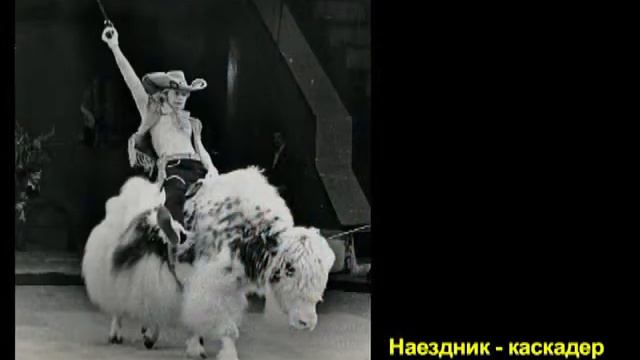 Борис Артемьев - дурак профессионал смотреть онлайн