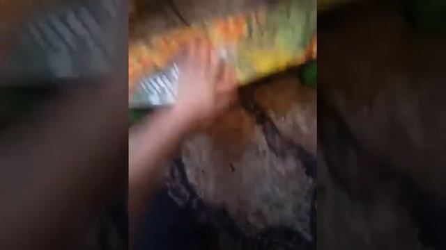 Мой пиниборт смотреть онлайн