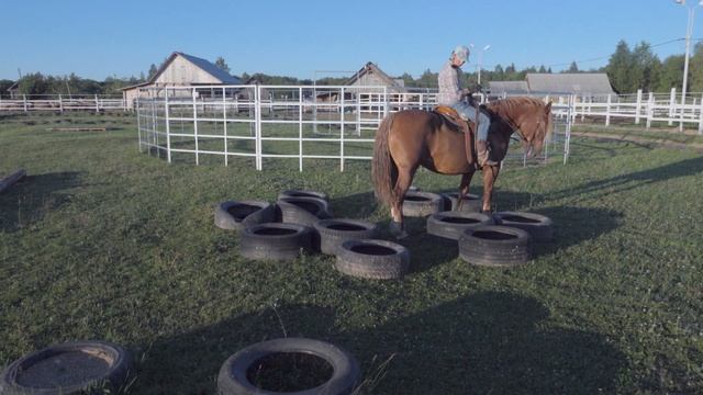 Подготовка рабочей площадки для обучения лошадей работе в лесу и в поле или про "мини трейл". смотреть онлайн