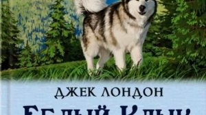 «Белый клык» — Джек Лондон  —Гл 2 Волчица — читает Павел Беседин