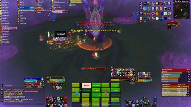 Iron Alliance - RS25 Death Knight Blood Tank Inside POV (Warmane)