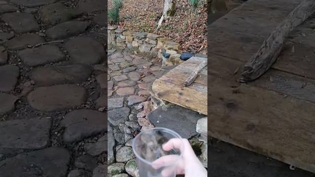 Я НАШЁЛ ДОЛЬМЕН В КРЕМНЕВЫХ ТЕРМАХ!!!!! ГОРНЫЙ РОДНИК!!!!! смотреть онлайн