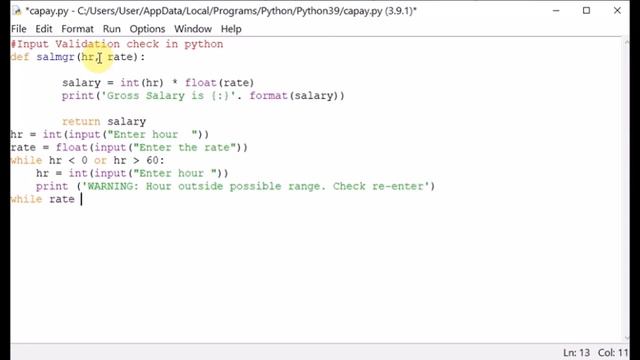 Input validation check in Python смотреть онлайн