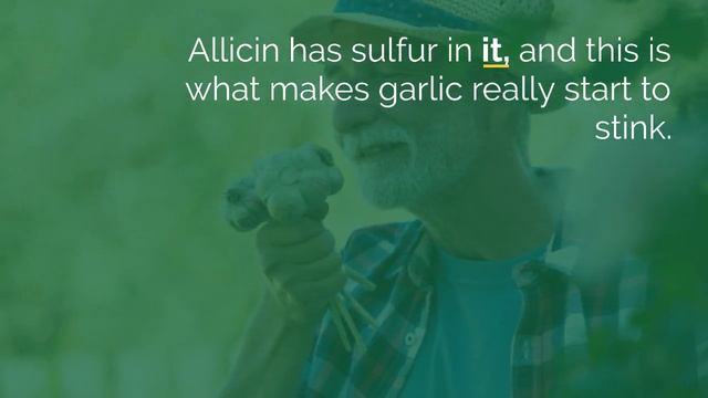 10 amazing facts about garlic смотреть онлайн