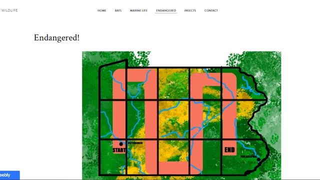 Endangered Wildlife Game Needs Your Help смотреть онлайн