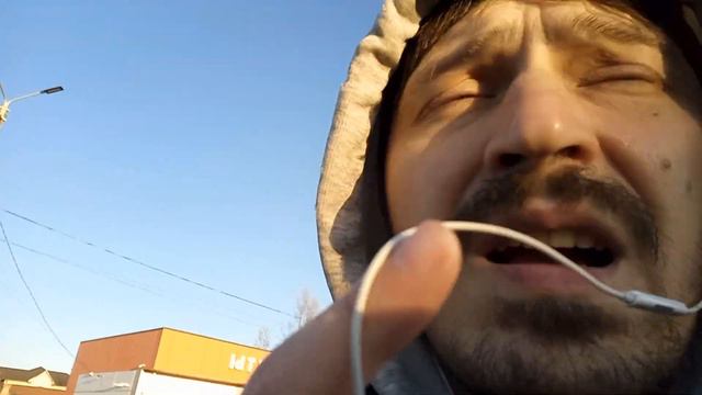 Почему птицы летают. Как и за счет чего у них это получается? смотреть онлайн