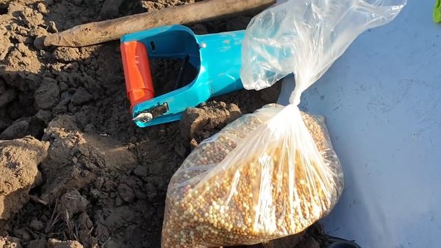 Клубника Крапо 10, посадка рассады минитрей. смотреть онлайн