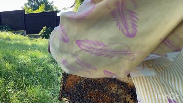 Мифы о синем мёде;))