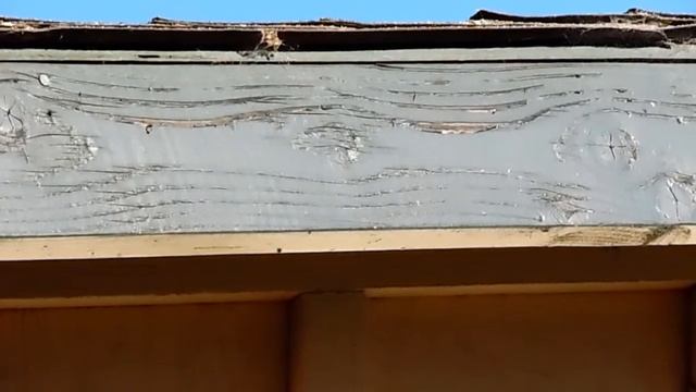 Samsung WB1100F vídeo zoom test смотреть онлайн