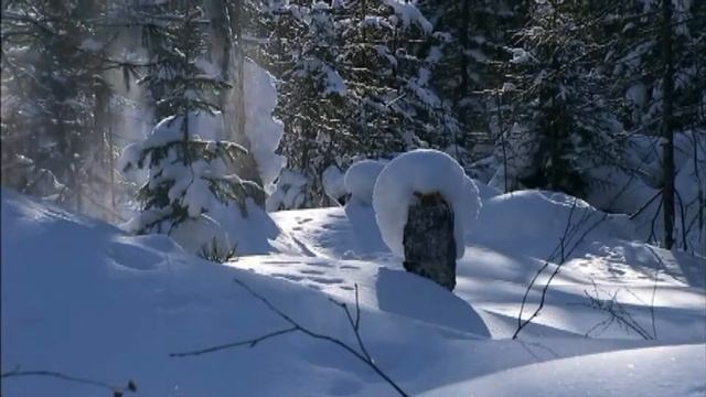 Bobina Winter Original Mix смотреть онлайн