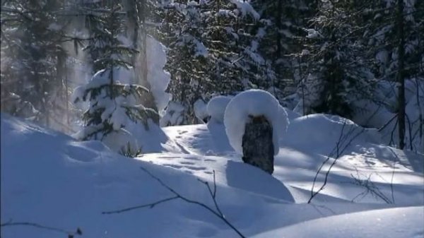 Bobina Winter Original Mix