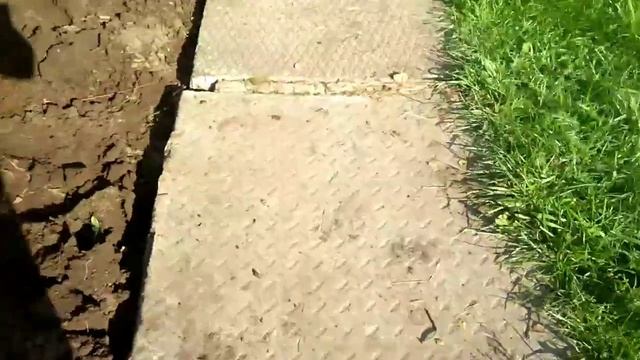 Копаем картошку смотреть онлайн