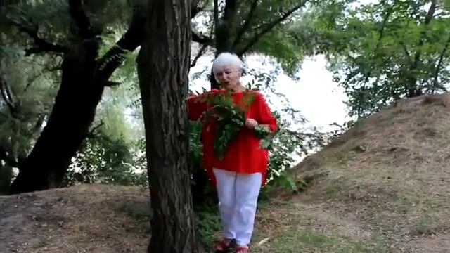 гуси лебеди смотреть онлайн