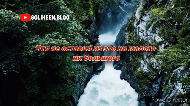 Аллах признательны знающий!Как можно его не любить?