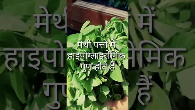 Seeds смотреть онлайн