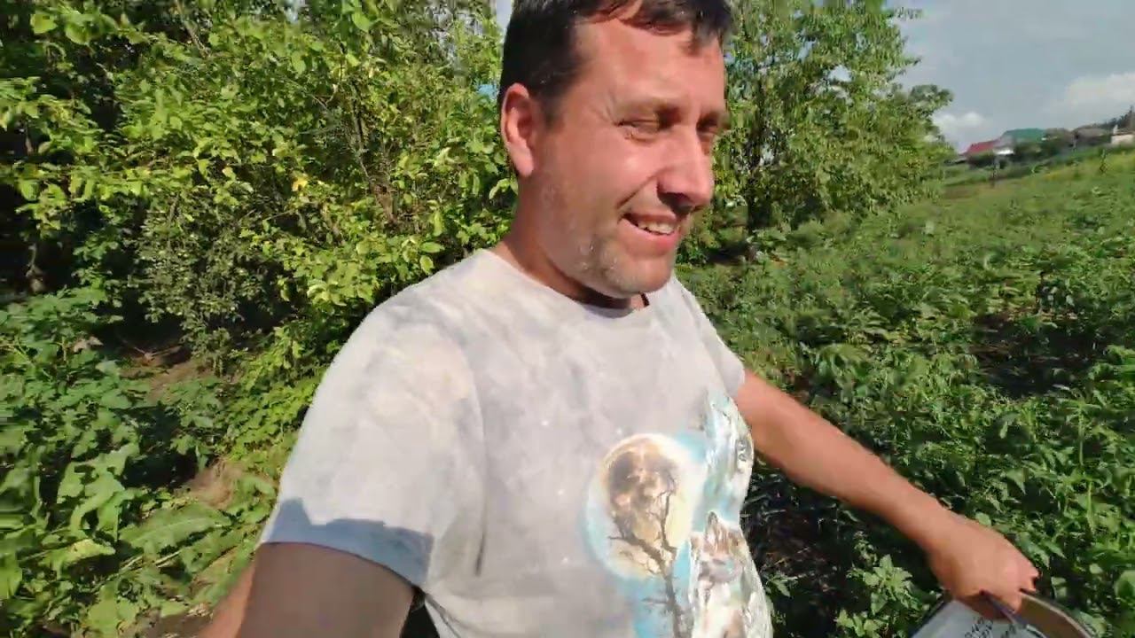 НА НОВОЙ РАБОТЕ / САМЫЙ РАННИЙ ПОМИДОР / КАУНЦЫ / СЕЛЬСКОХОЗЯЙСИВЕННАЯ ТЕХНИКА смотреть онлайн